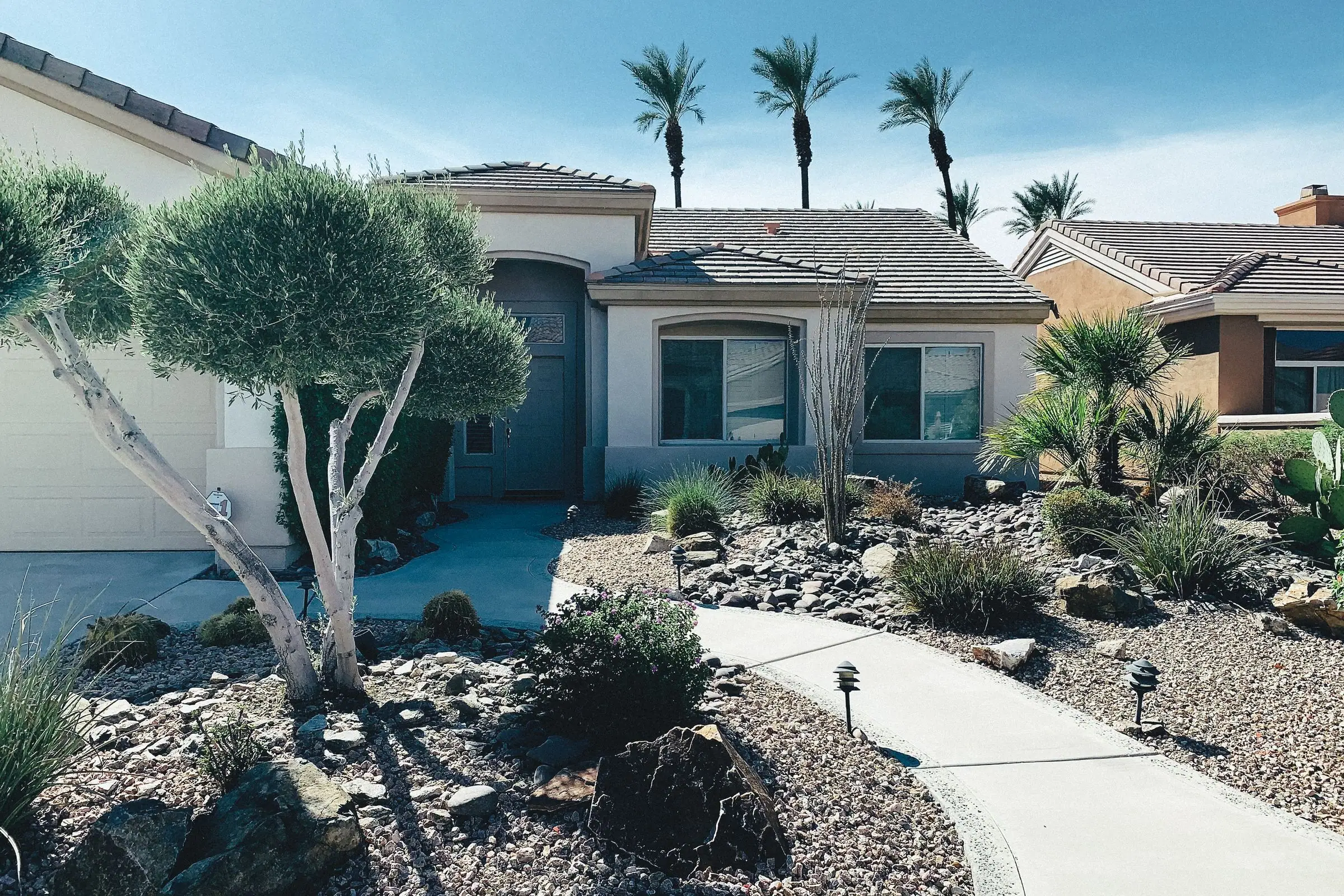 Arizona style front yard with desert plants, gravel and palm trees